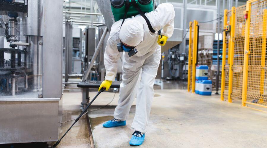 Professional termite inspection services in Gililland - Termite Inspection Gililland