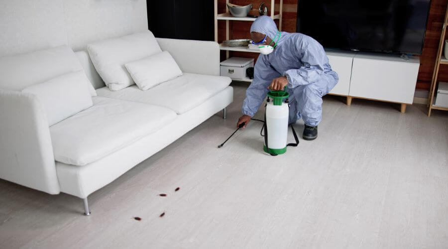 Why choose Termite Inspection Gililland for termite inspection in Gililland